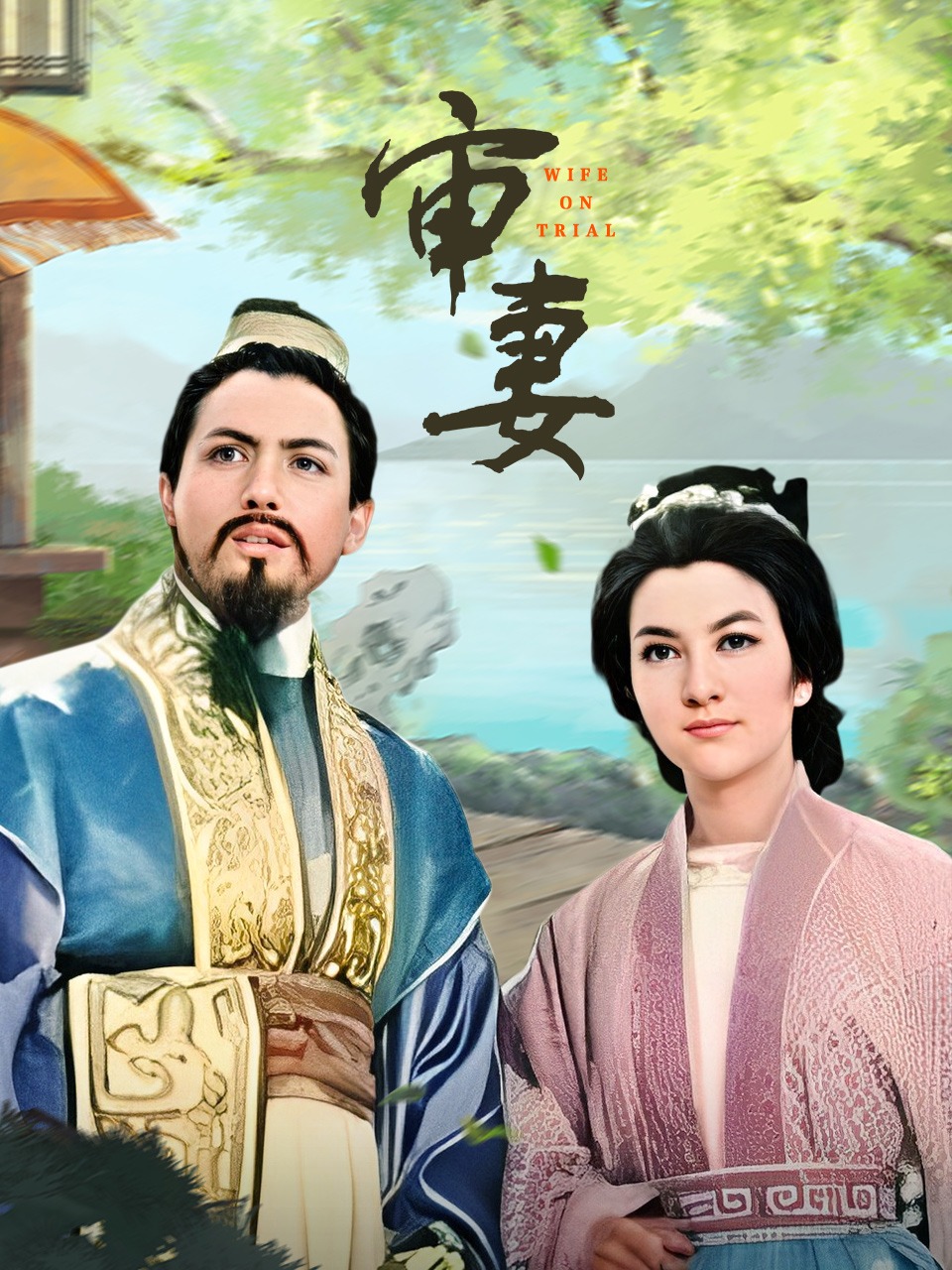 审妻