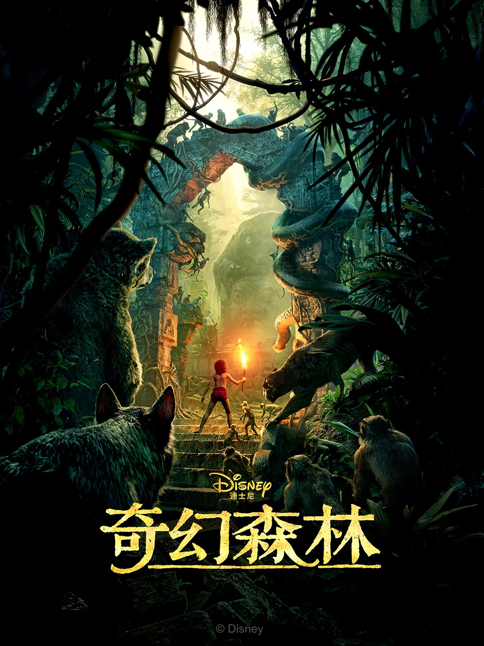 奇幻森林