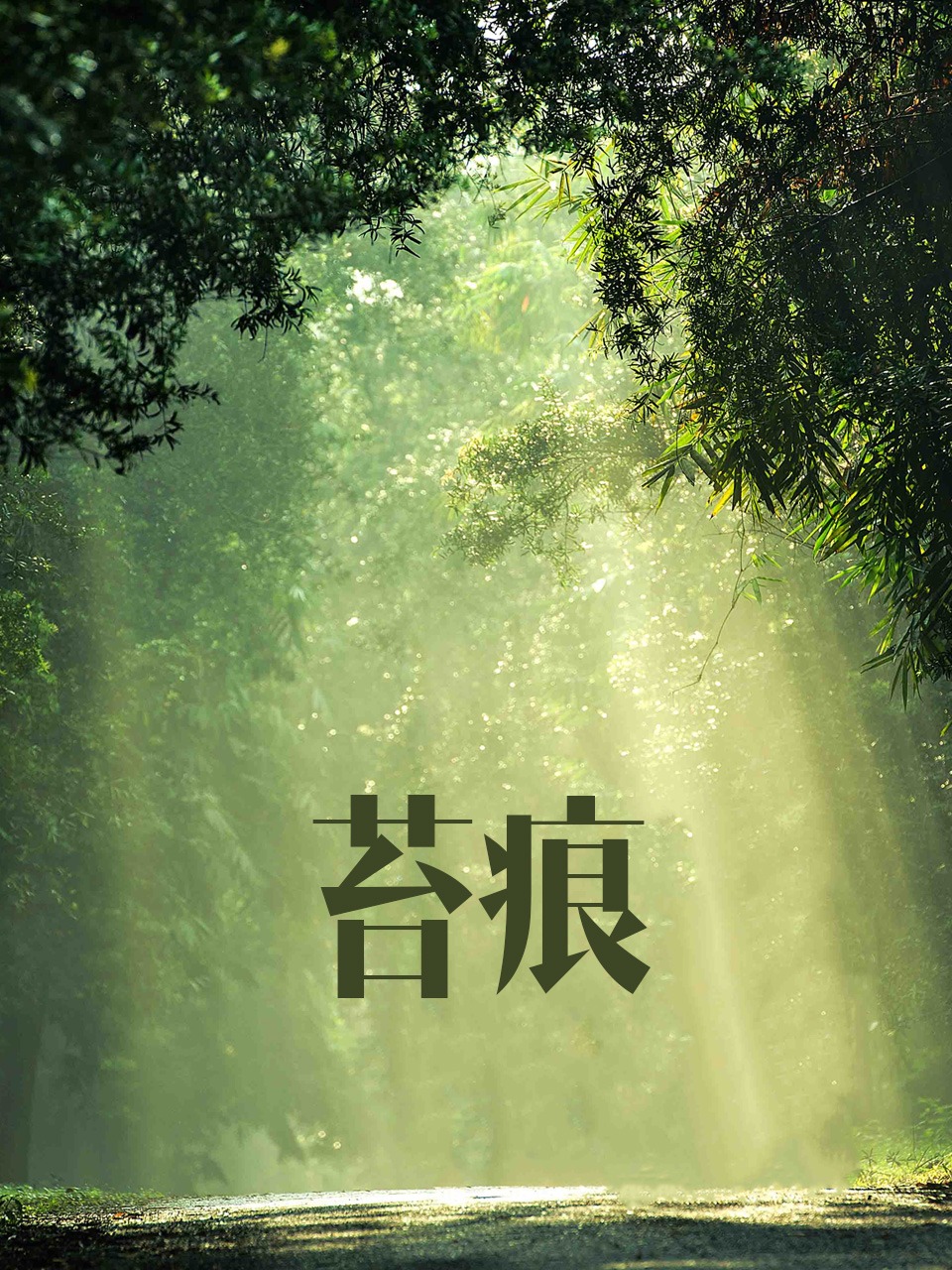 苔痕