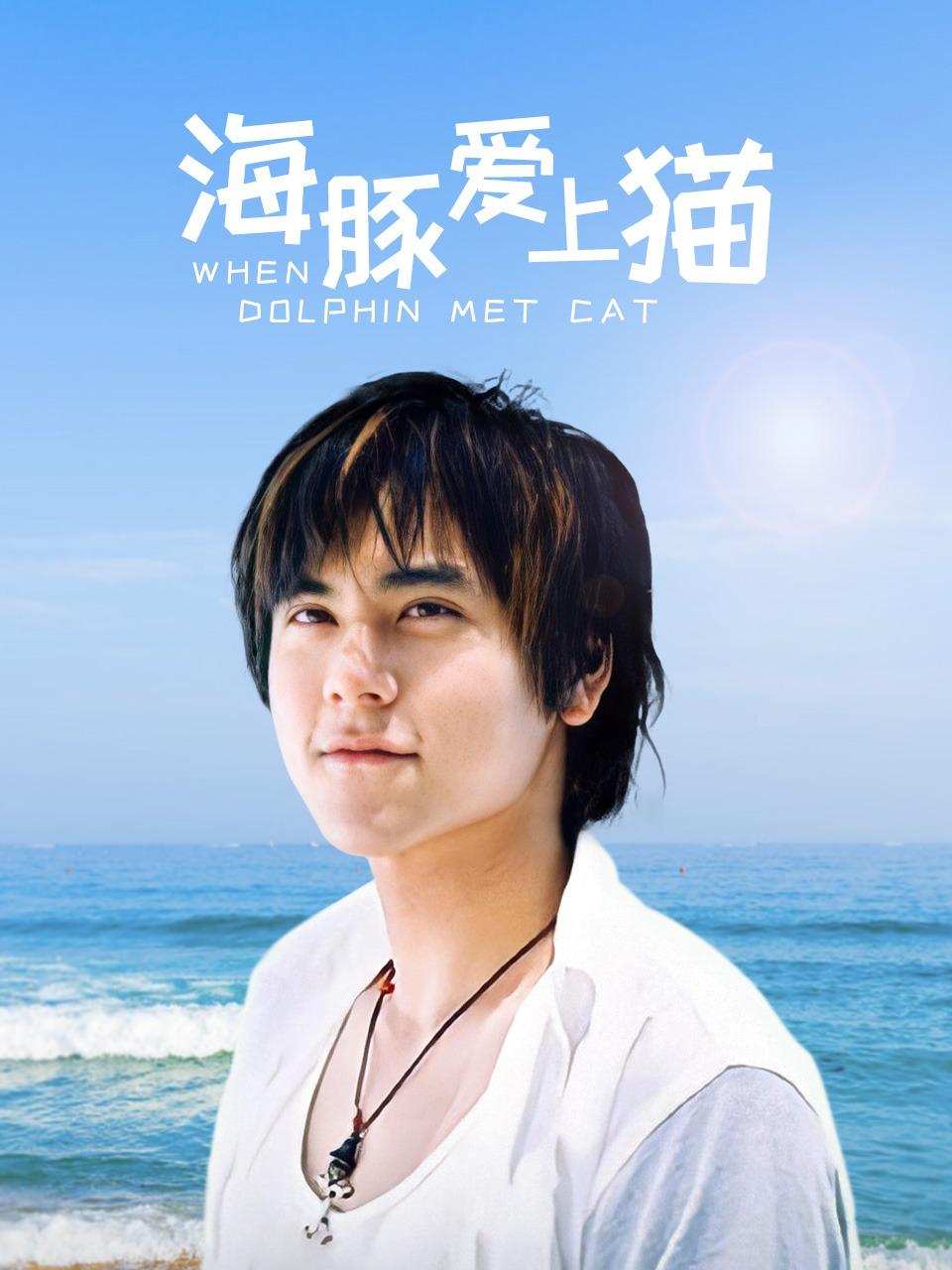 海豚爱上猫