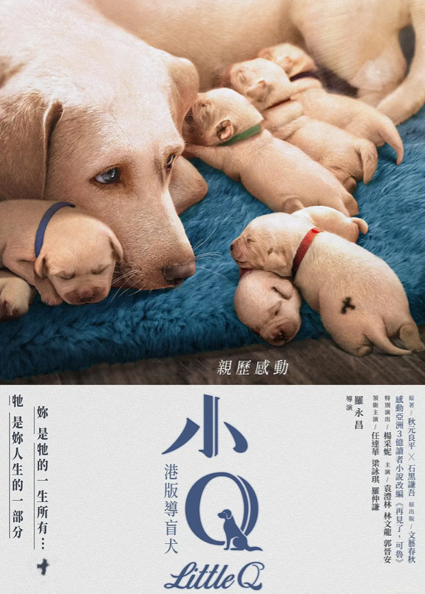 小Q 粤语版