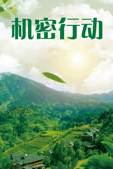 机密行动