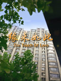 缘来如此（2017）