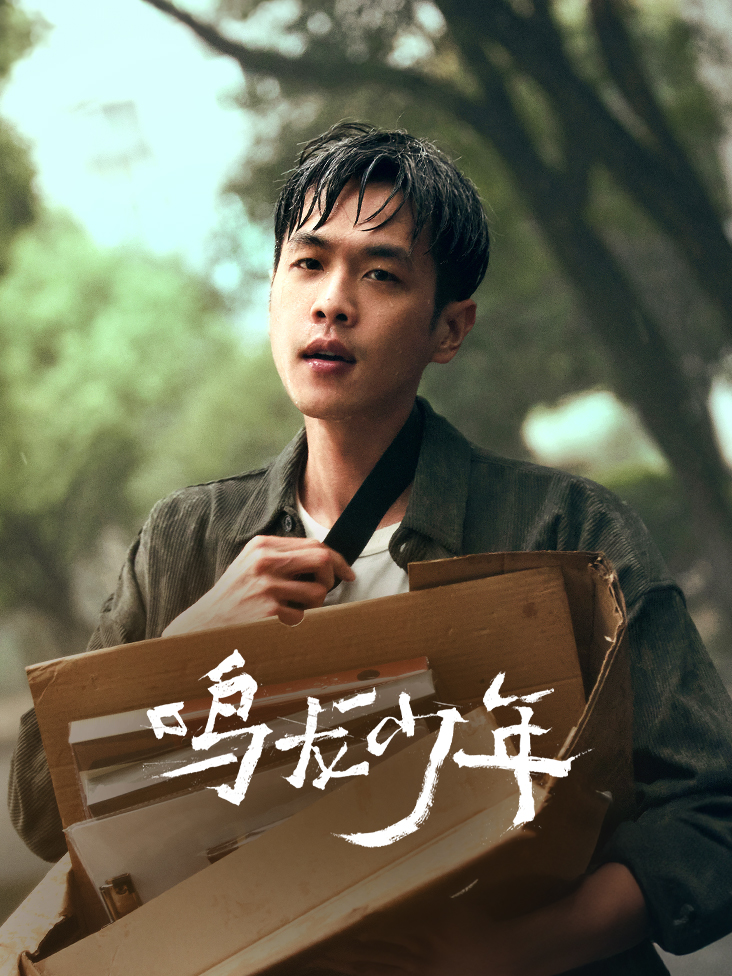鸣龙少年 DVD版