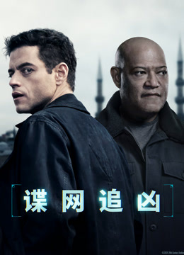 谍网追凶（普通话）