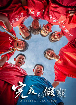 完美的假期