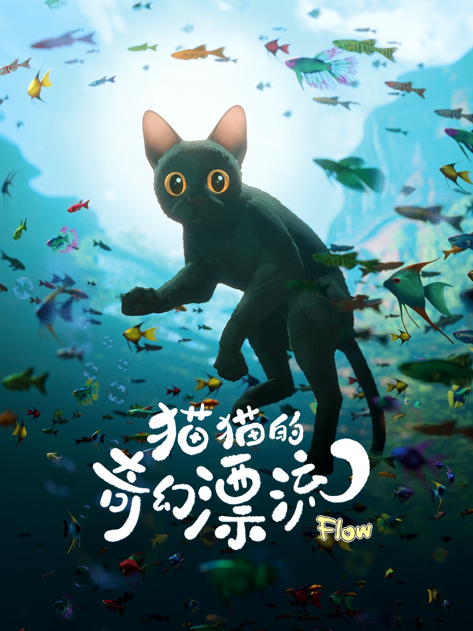 猫猫的奇幻漂流