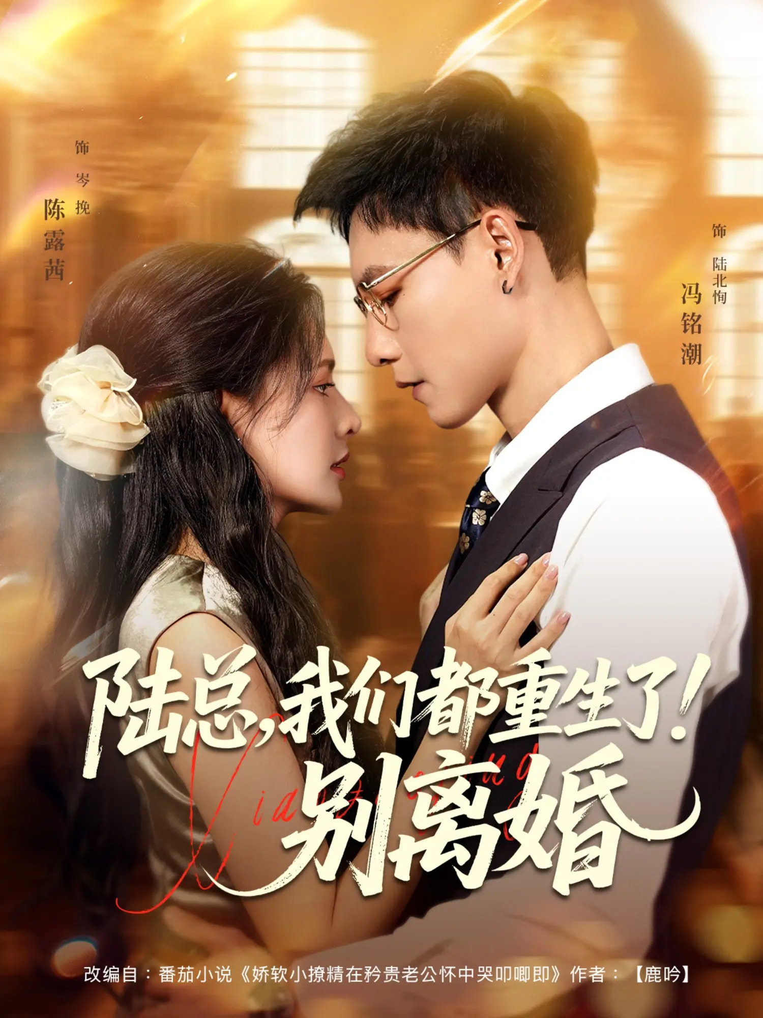 陆总我们都重生了别离婚