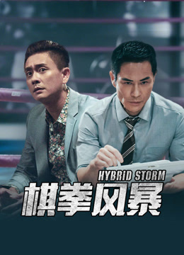 棋拳风暴 粤语版